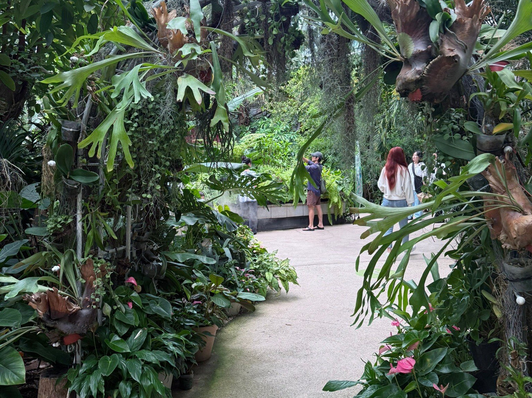 Seoul Botanical Garden-首尔必去景点