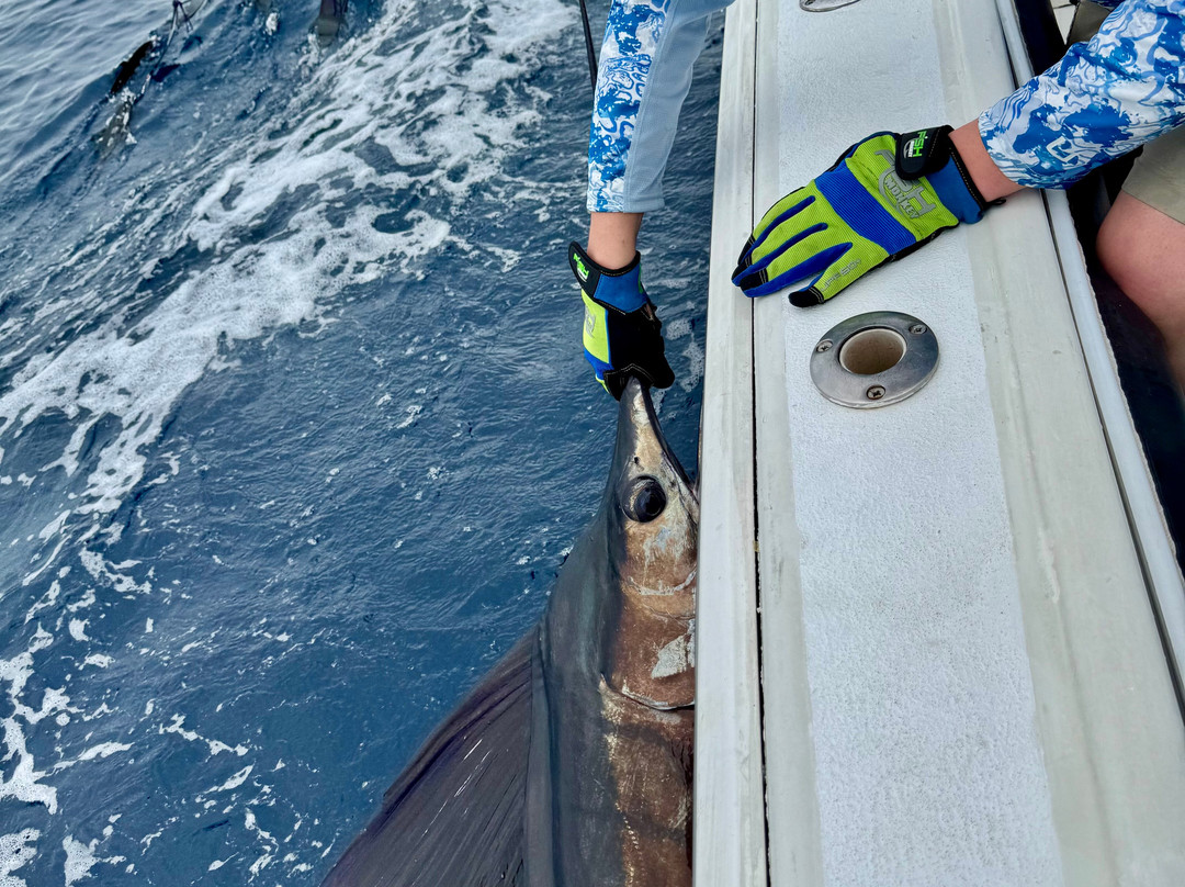 Wetass II Sportfishing-Playa Flamingo必去景点