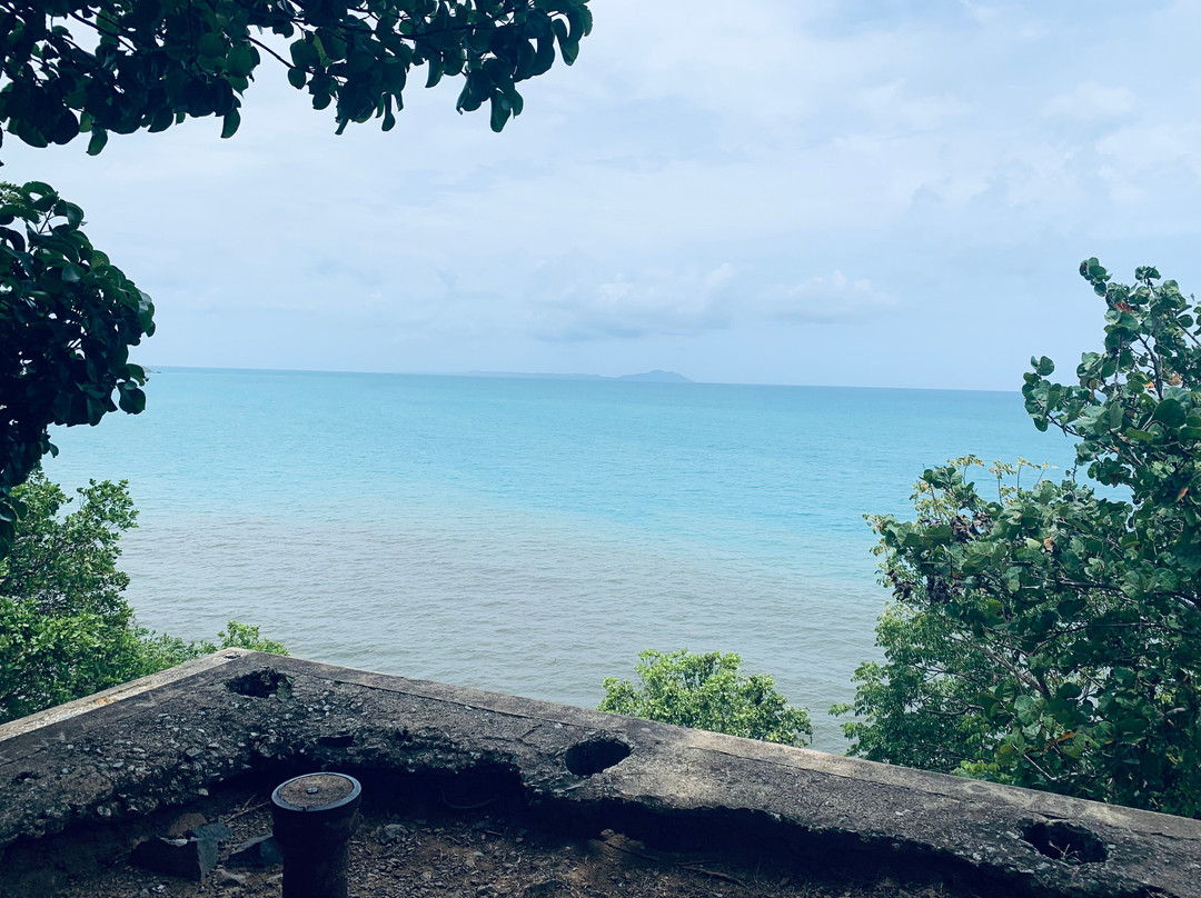 Reserva Natural de Humacao-Humacao必去景点