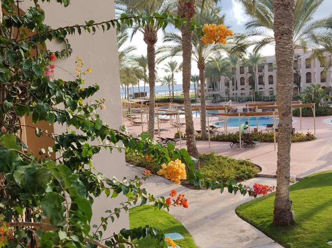 杰斯阿勒马扎湾酒店主图