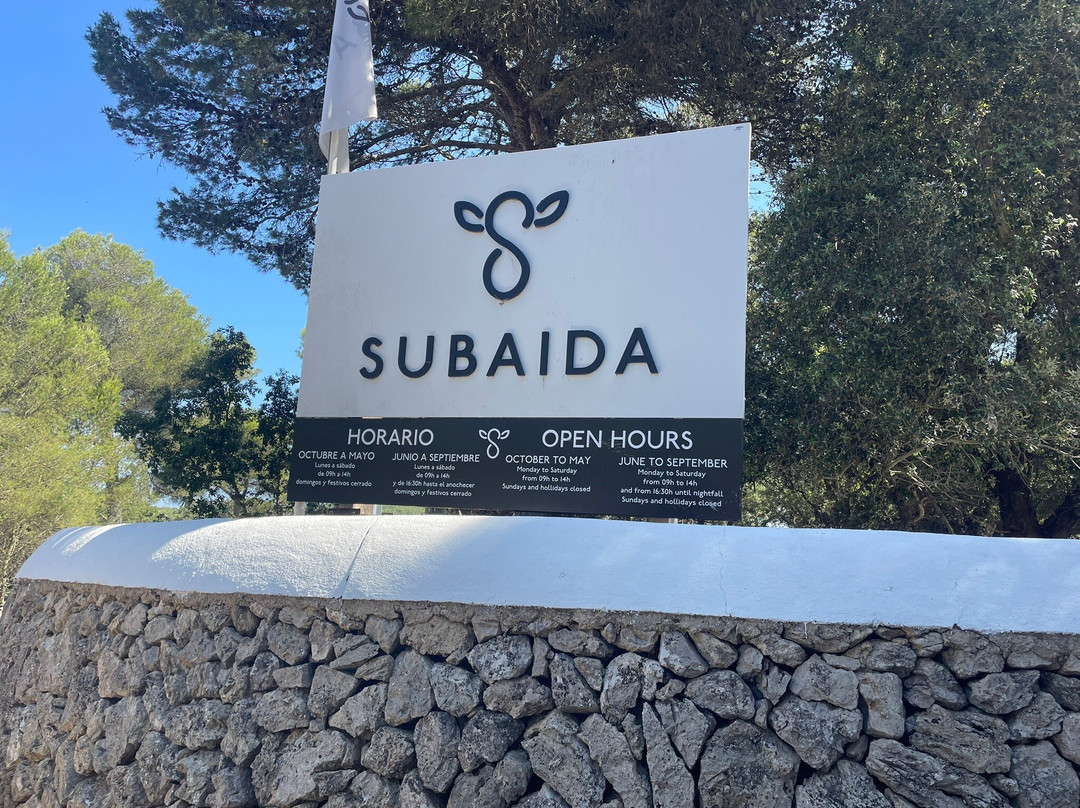 Subaida-阿拉约尔必去景点