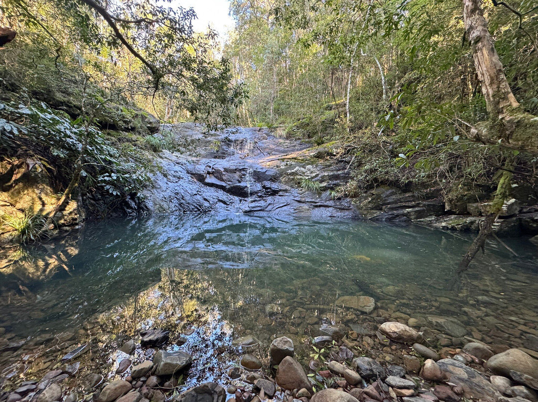 Carawirry Forest Escape