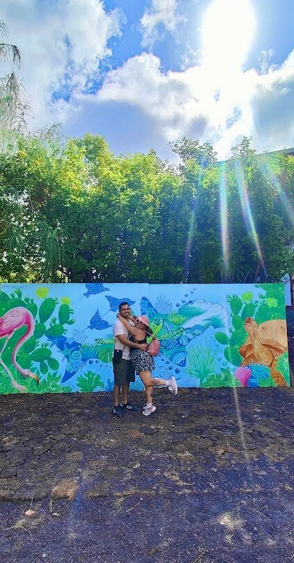 Charles Darwin Research Station-阿约拉港必去景点