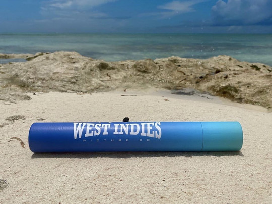 West Indies Picture Company