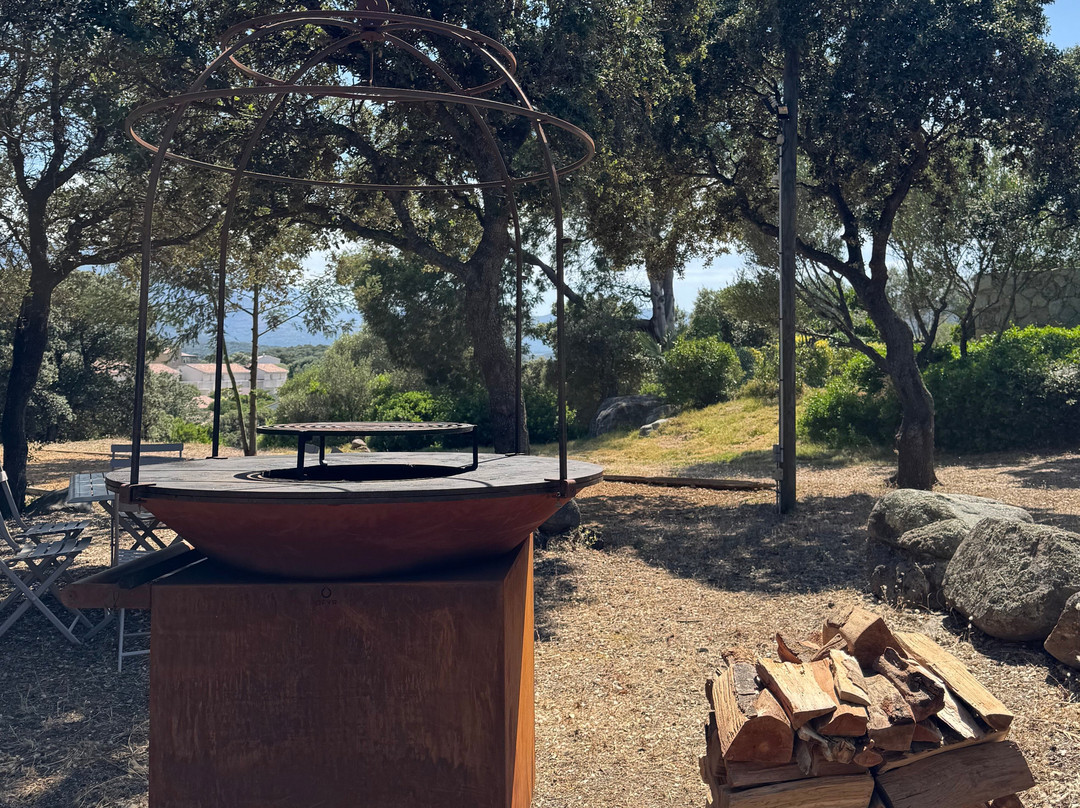 Les Bois De Capra Scorsa
