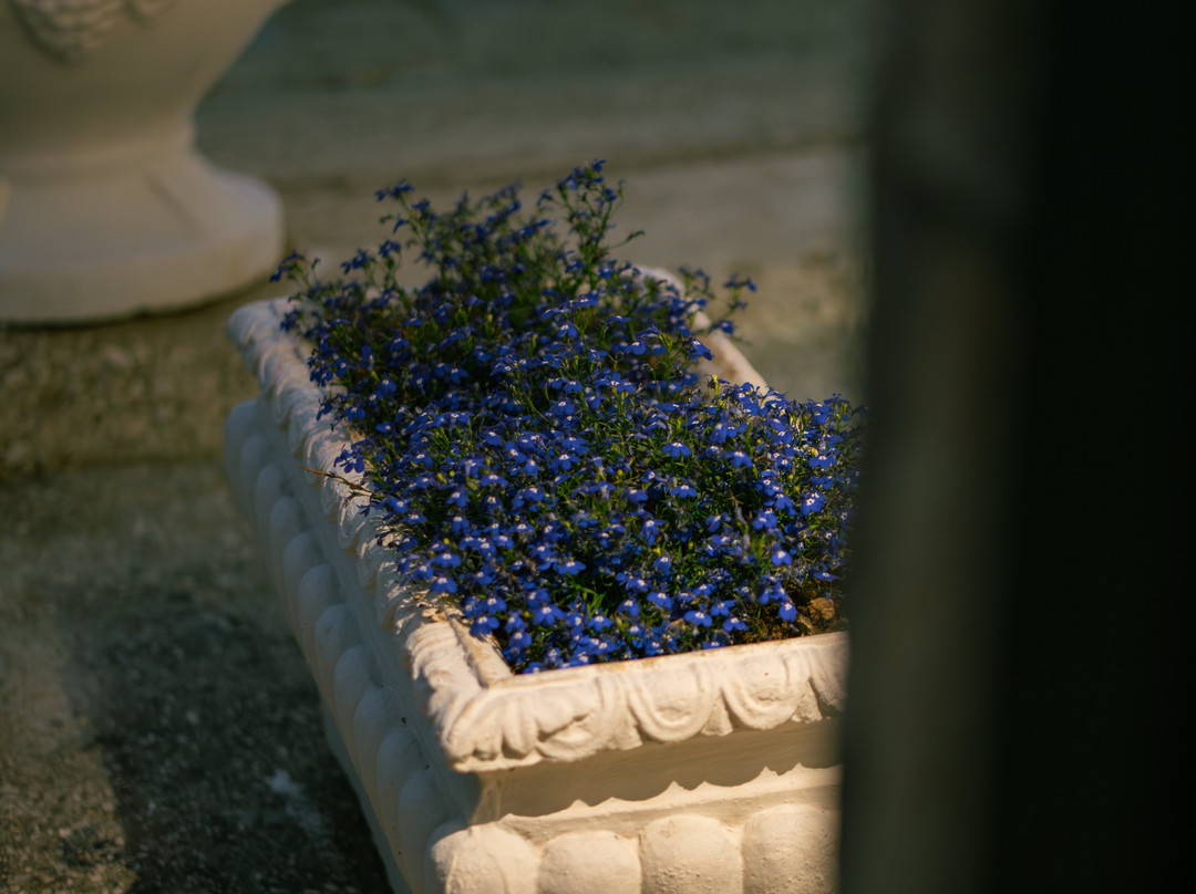 Tepelena Center Hotel