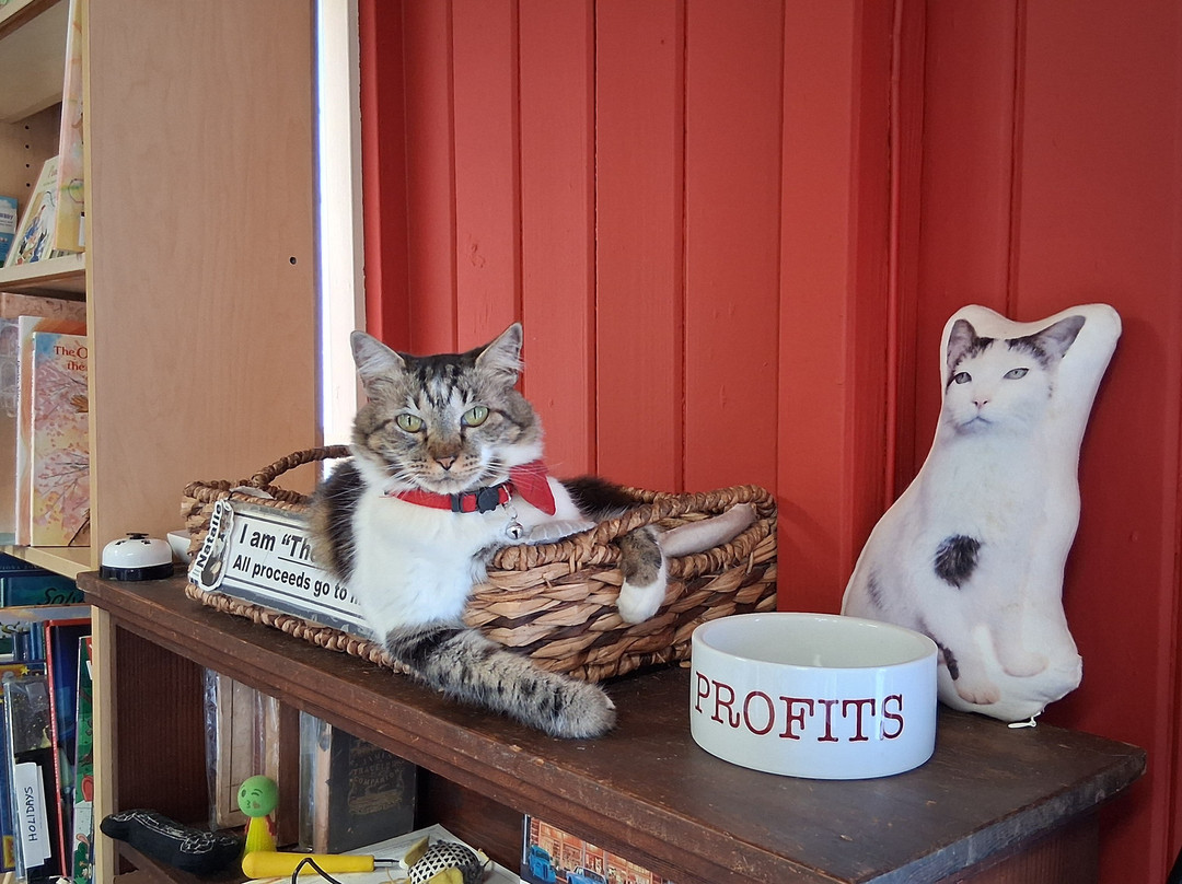 Talk Story Bookstore-哈纳佩佩必去景点