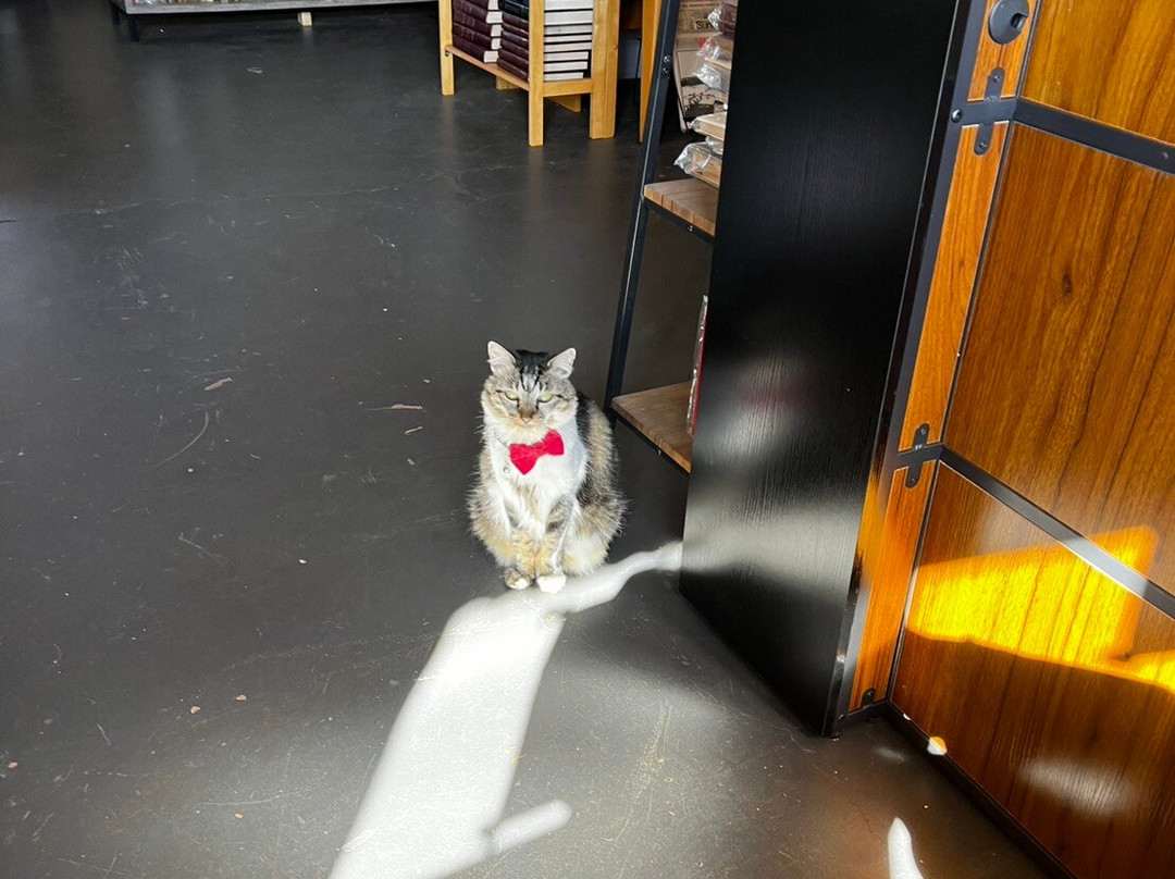 Talk Story Bookstore-哈纳佩佩必去景点