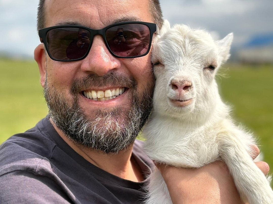 Haafell Goats and Roses-Reykholt必去景点