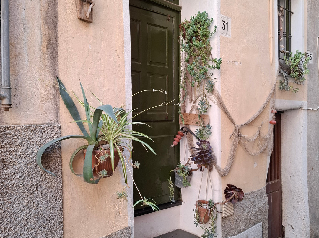 Bordighera Città Alta-博尔迪盖拉必去景点