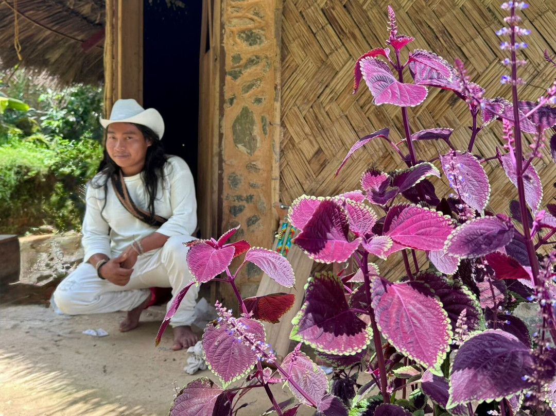 Awindua, Pueblito Indigena Wiwa-Minca必去景点