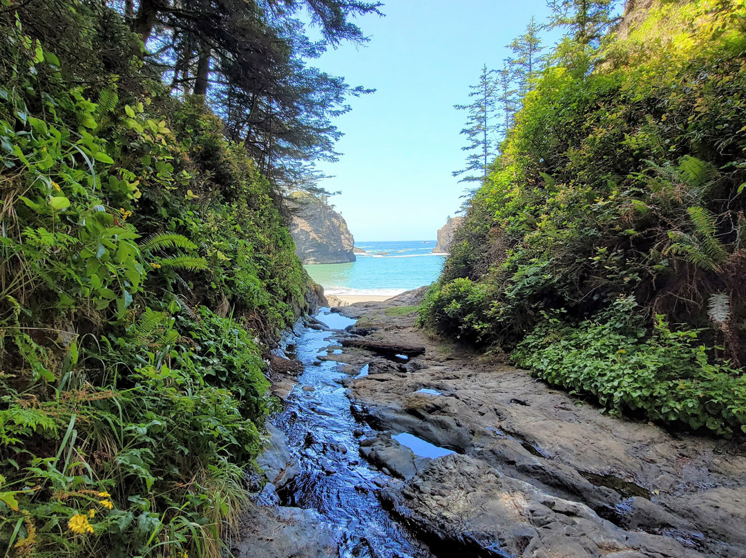 Secret Beach-布鲁金斯必去景点