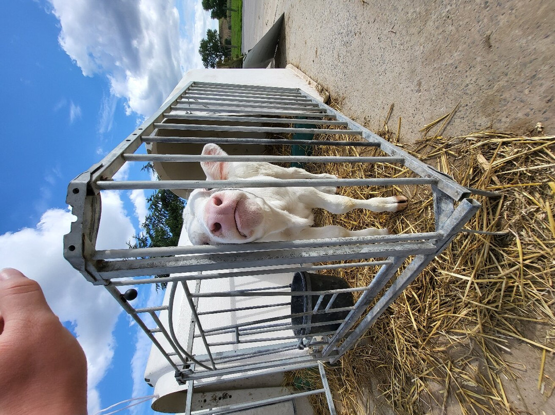 Labyrinthe de la Ferme Beun