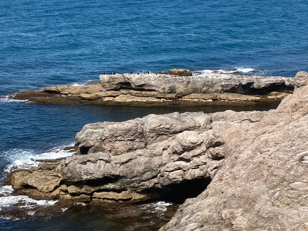 Cape St. George-Port au Port必去景点