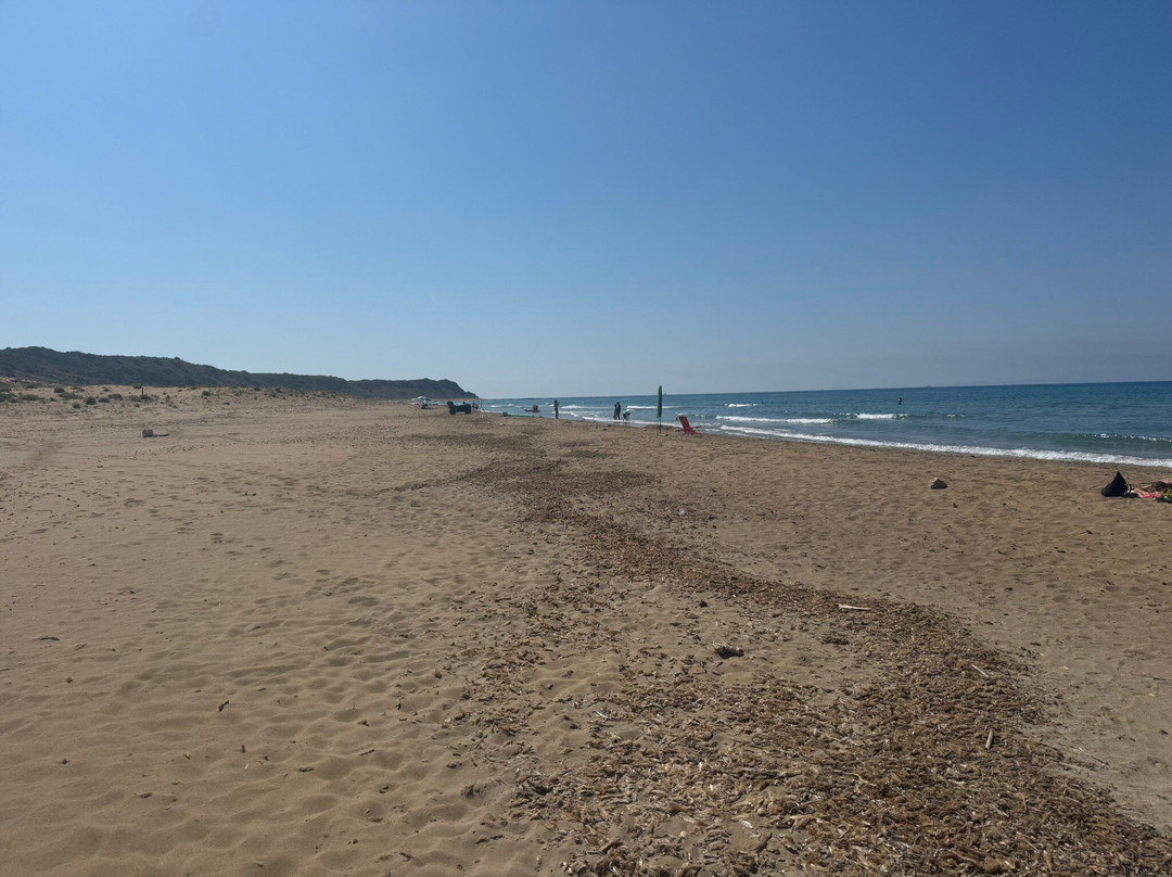 Kaminia Beach-Eleios-Pronnoi必去景点