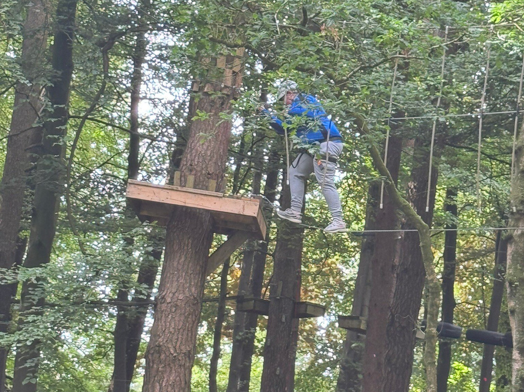 Craufurdland Tree Top Trials and Activities-Kilmarnock必去景点