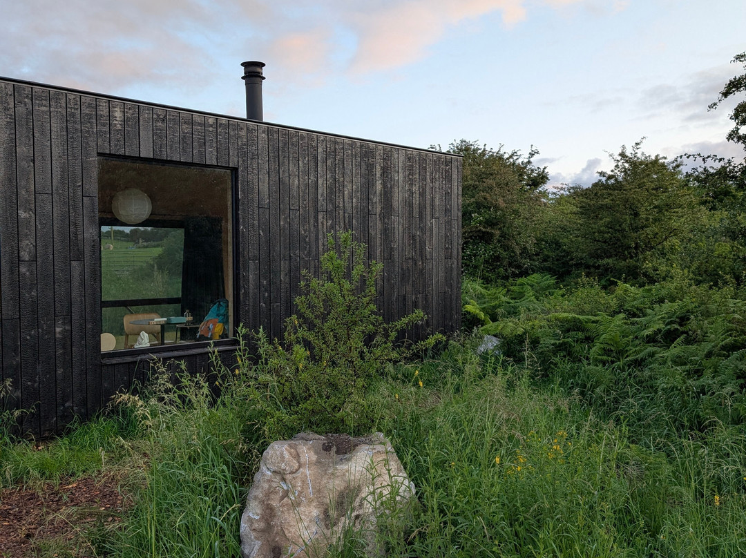 Burren Nature Sanctuary-金瓦拉必去景点