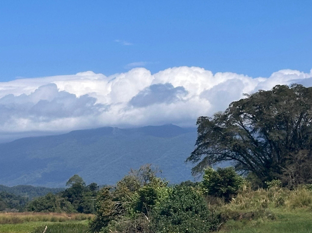 Daintree Crocodile Tours-Daintree必去景点