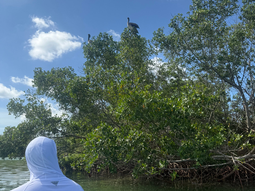 SURFit USA-Lido Key必去景点