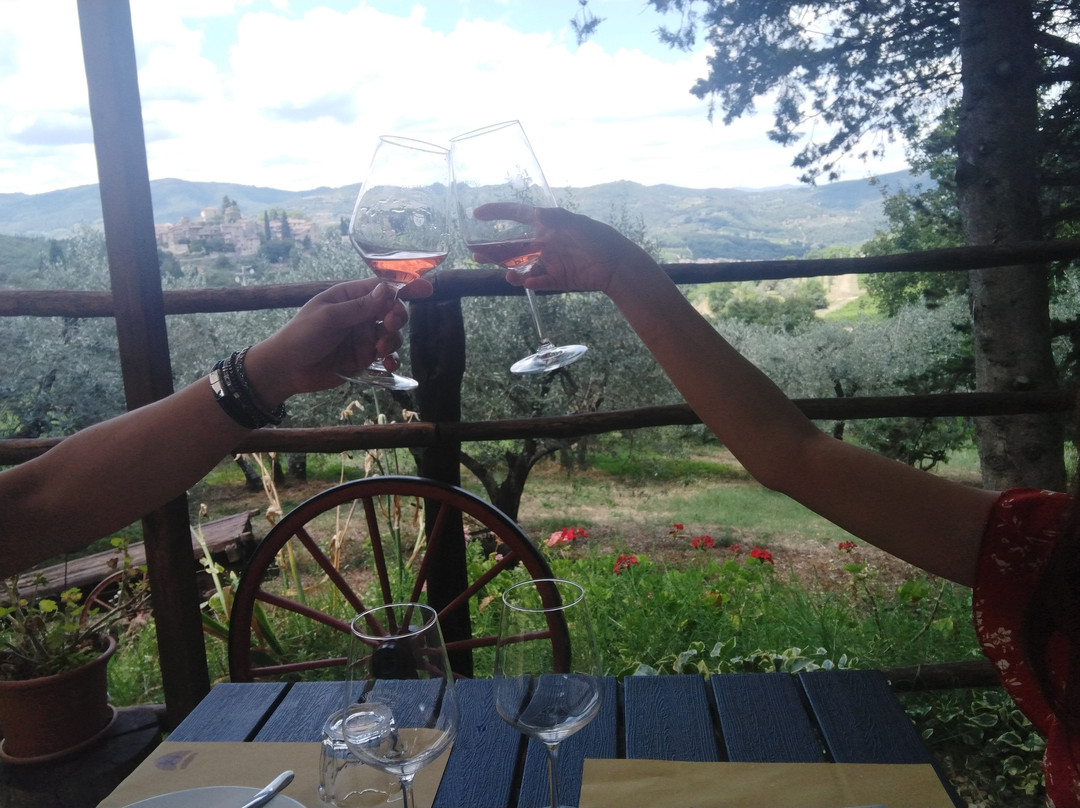 Podere Bucine Winery-格雷韦伊恩基亚恩蒂必去景点