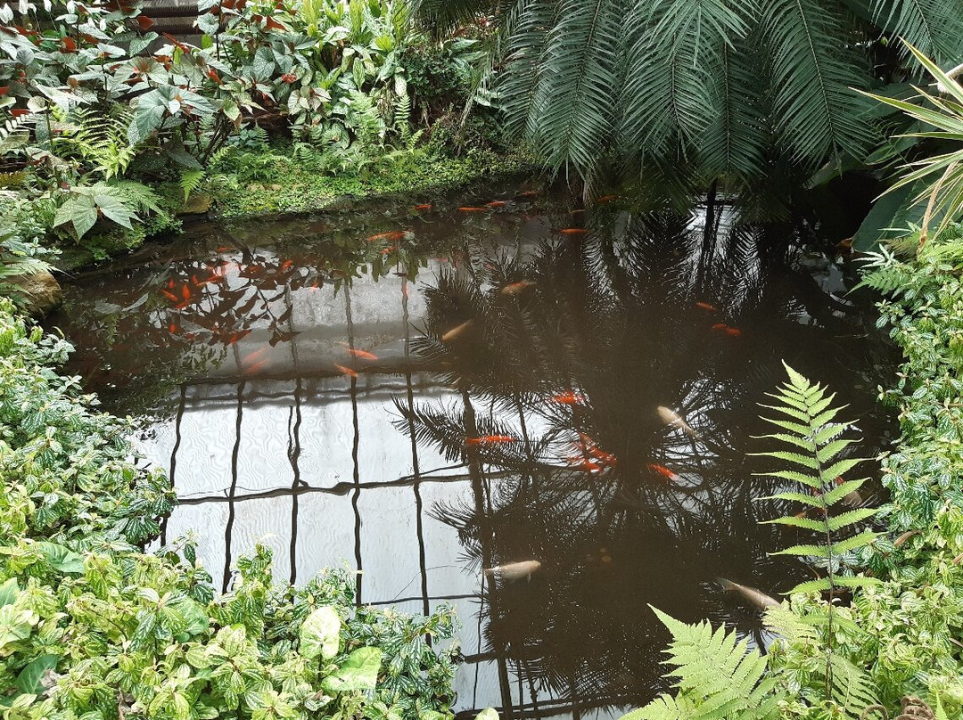 Manor Heath and Jungle Experience-哈里法克斯必去景点