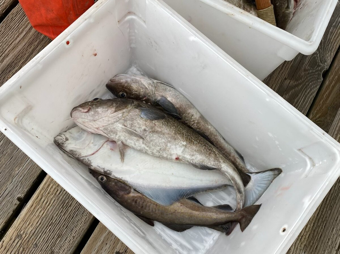 Baranof Fishing Excursions-凯奇坎必去景点