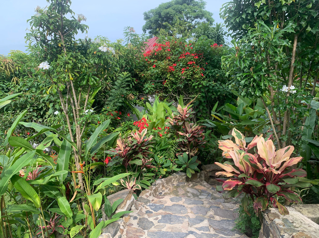 Mundo Nuevo Eco Lodge主图