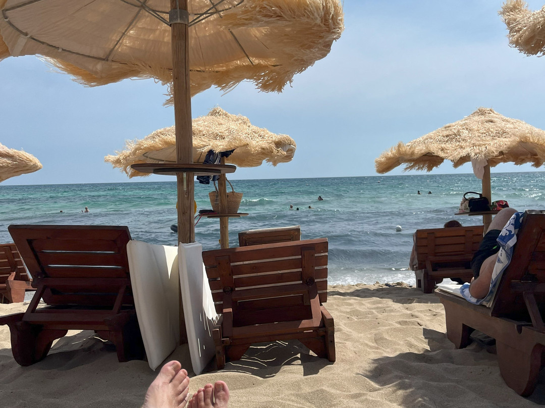 Samanà Beach-Punta Prosciutto必去景点
