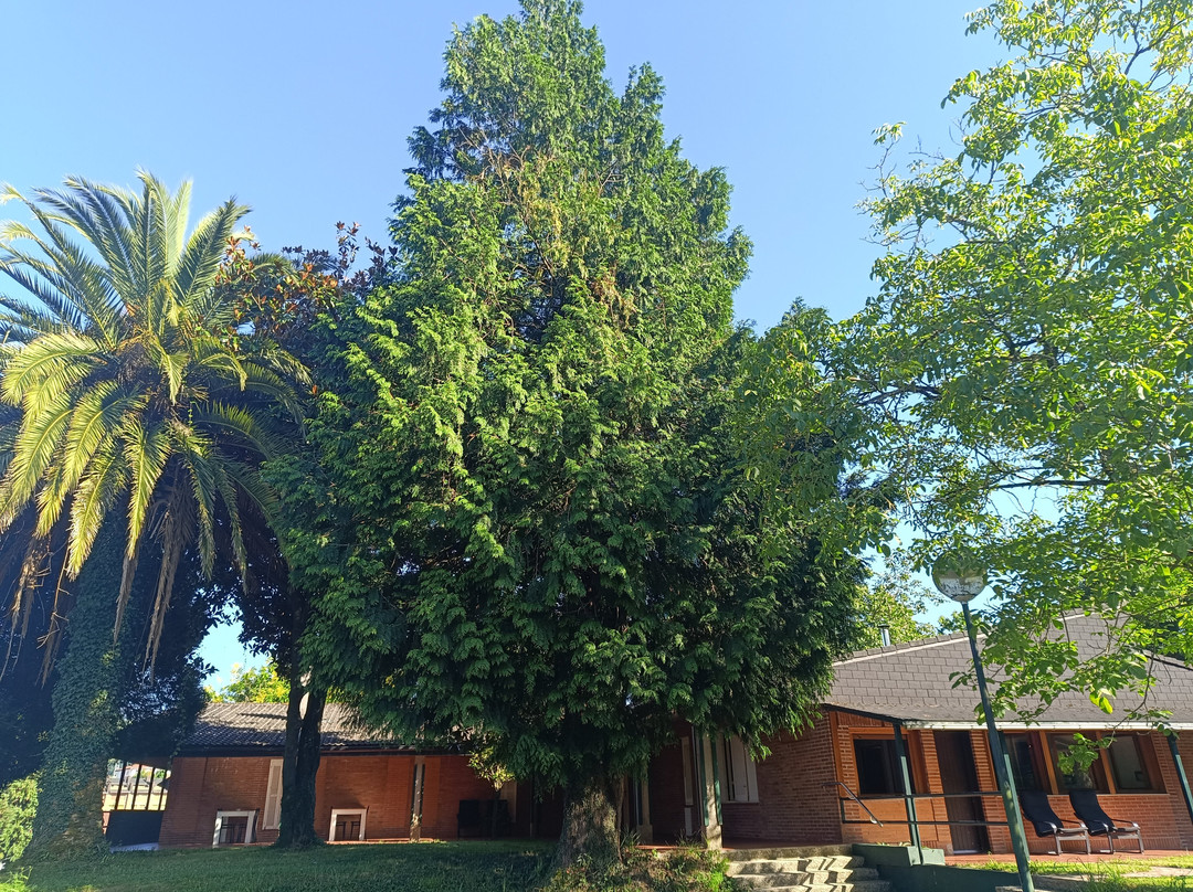 Hotel Ler- Argi主图