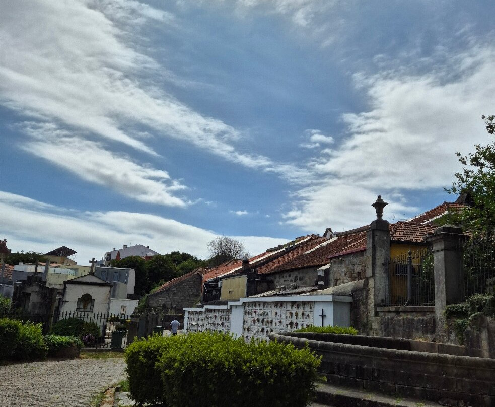 Cemitério do Prado do Repouso-波尔图必去景点