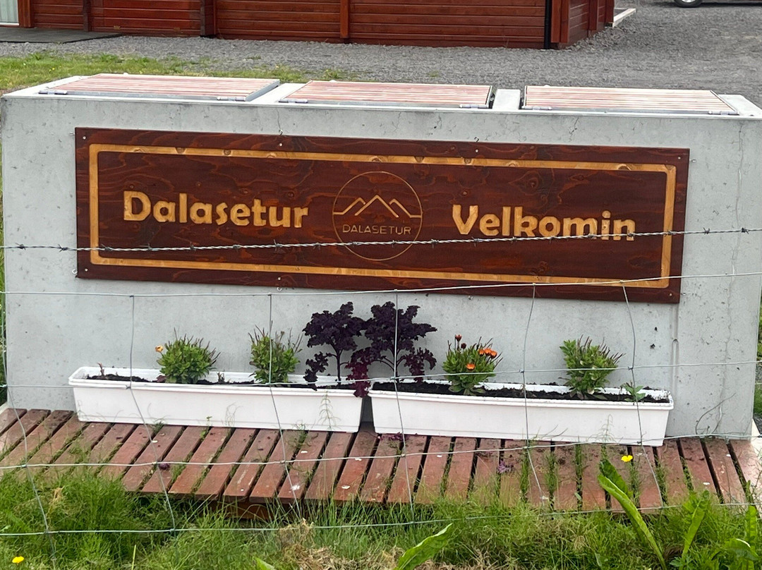 Dalasetur