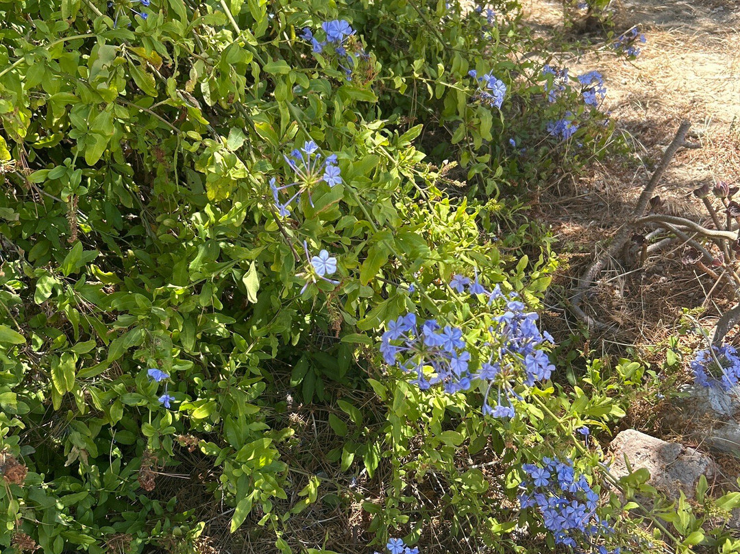 Rota das Ilhas - Boat Tours-奥良必去景点