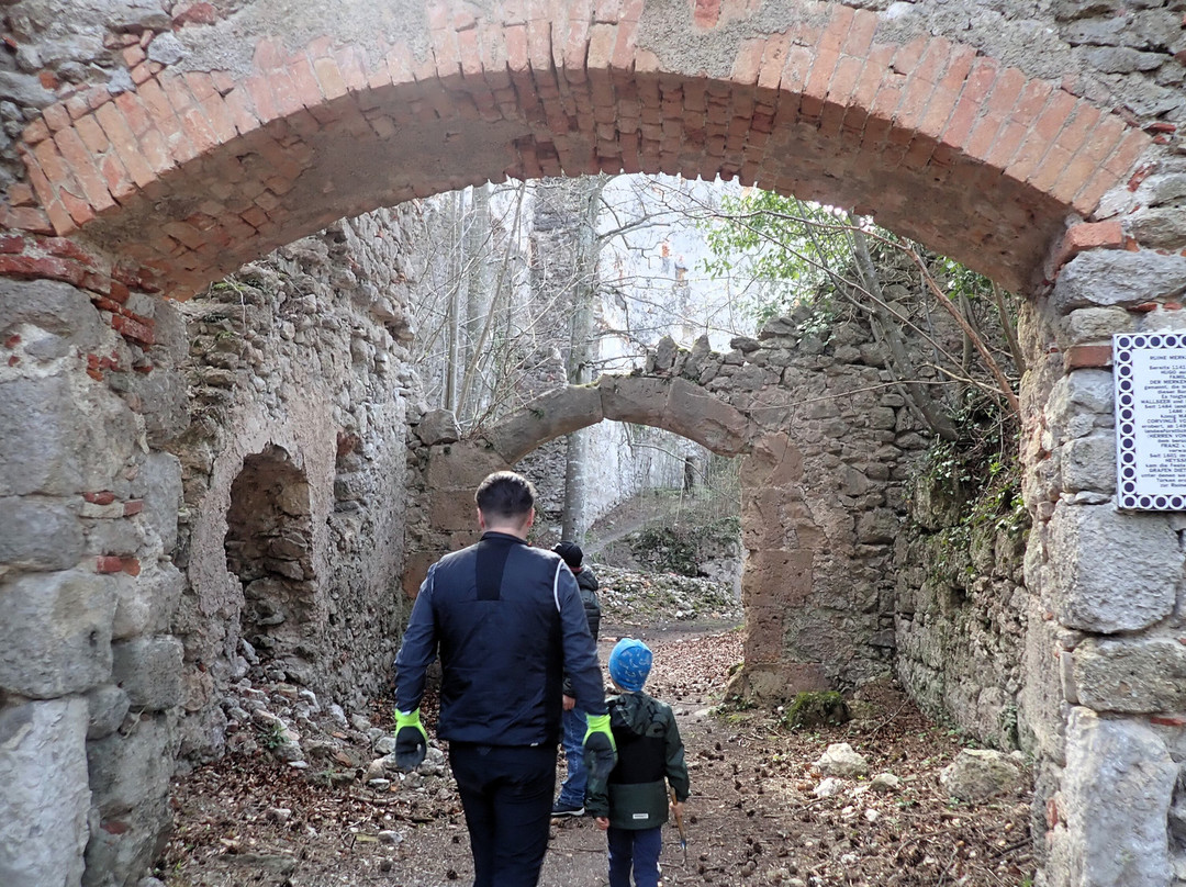 Ruine Merkenstein