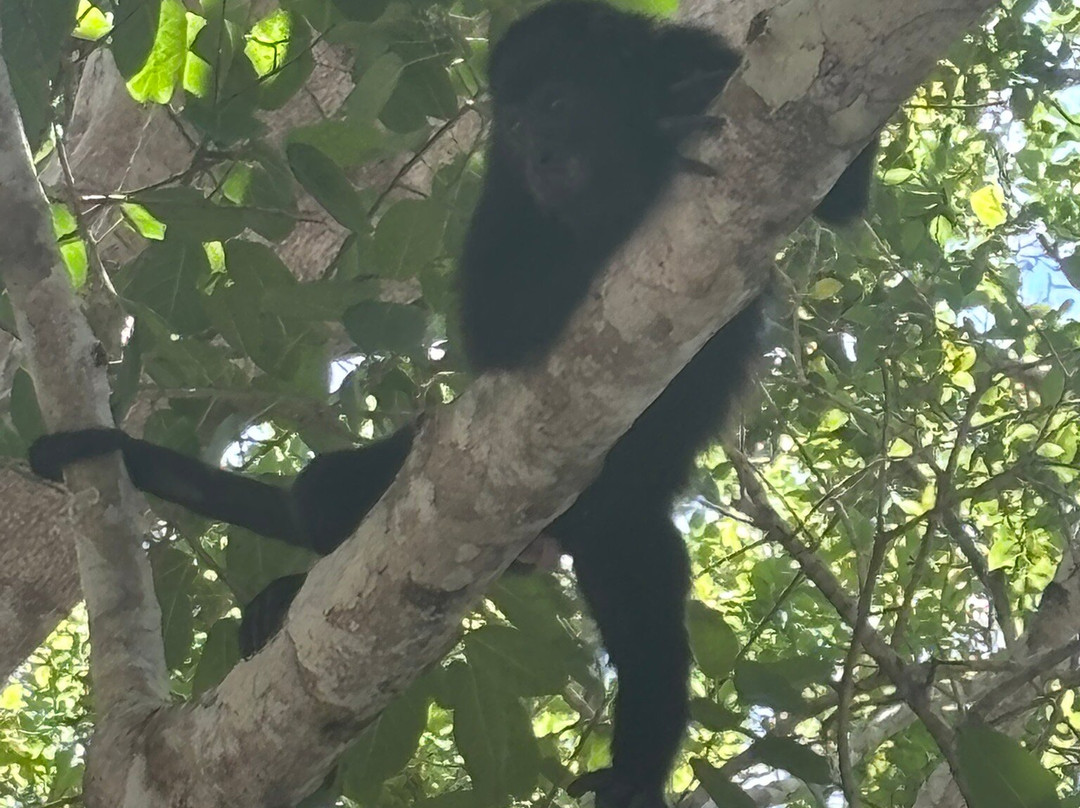 Calakmul y Selva Tours-卡拉克穆尔必去景点