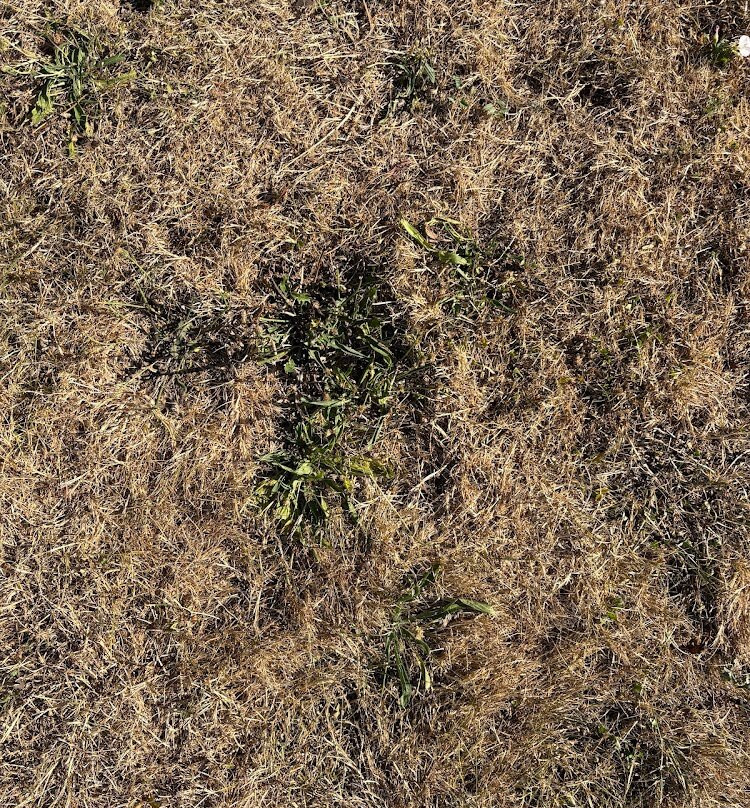 Golf d'Autun-Autun必去景点