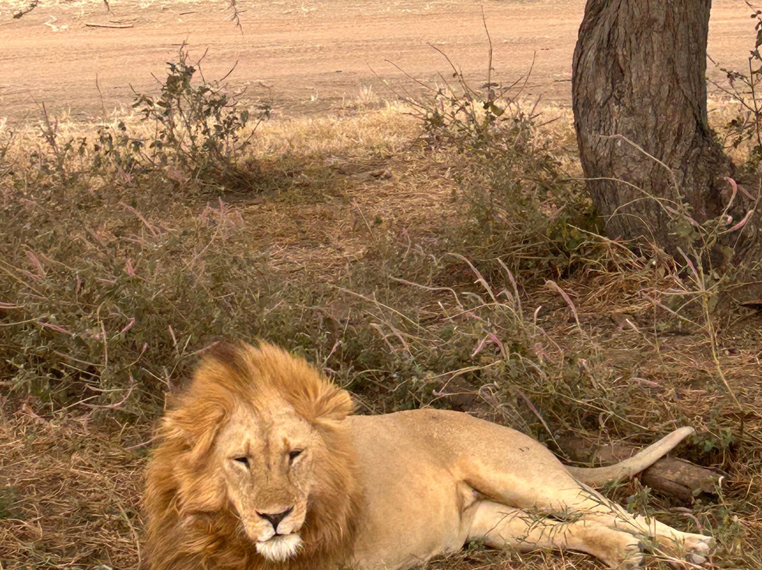 Sense of Africa, Namibia-温德和克必去景点