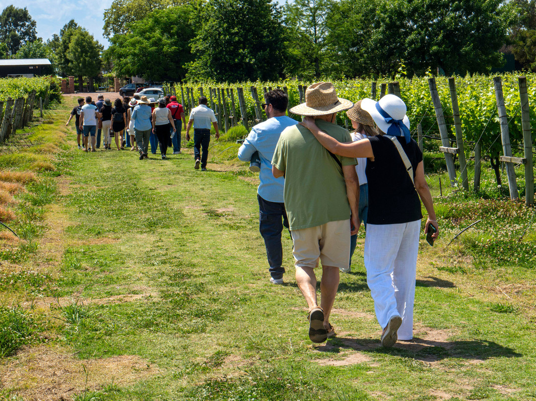 Bodega Garaje Casa Grande-Canelones必去景点