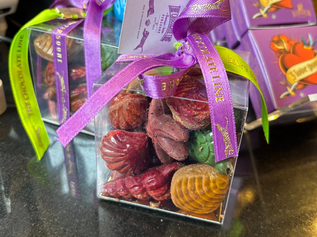 The Chocolate Line - Dominique Persoone-安特卫普必去景点