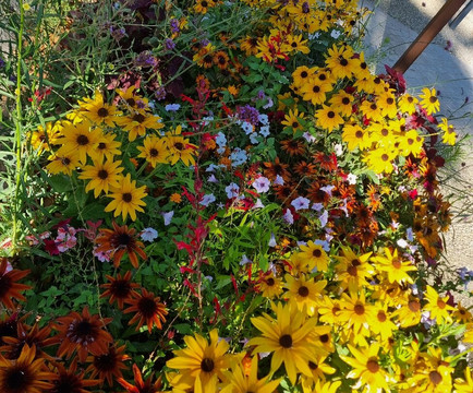 米斯特拉尔酒店主图