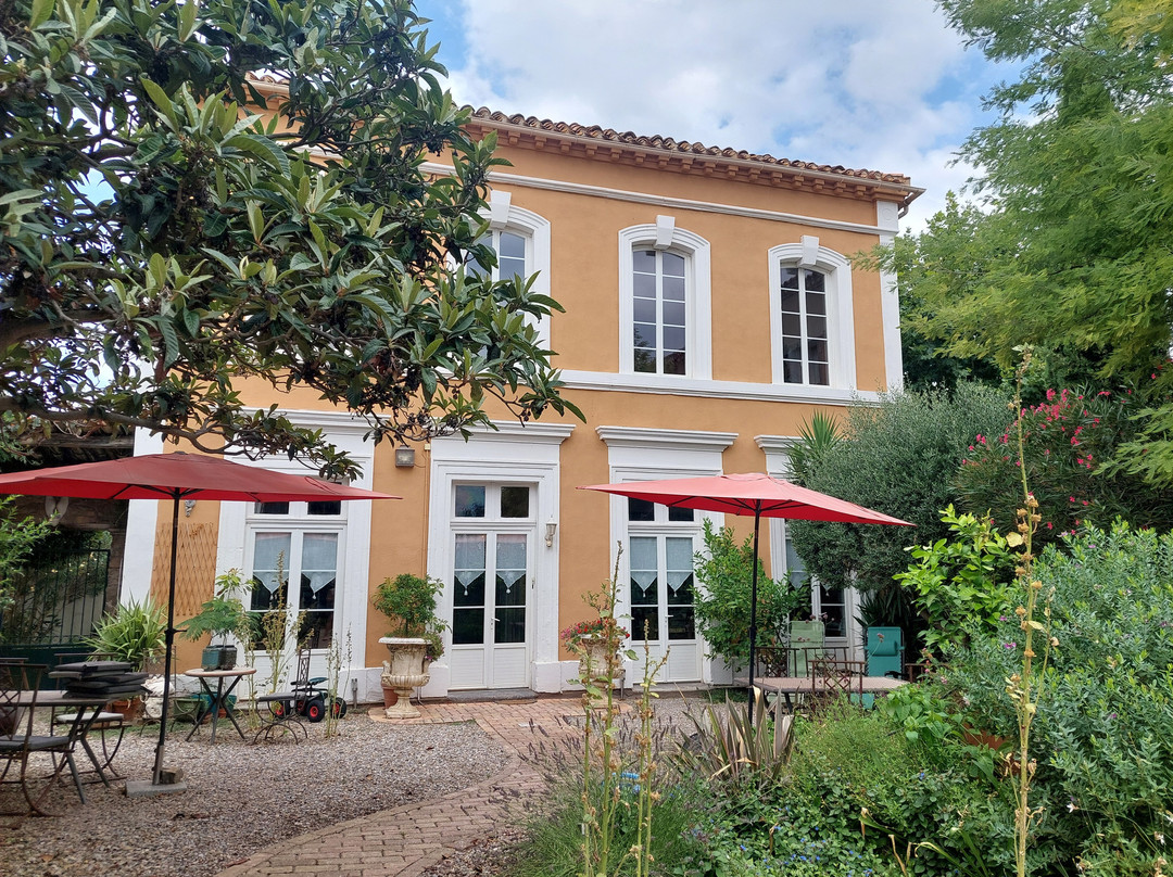 La Maison des Palmiers主图