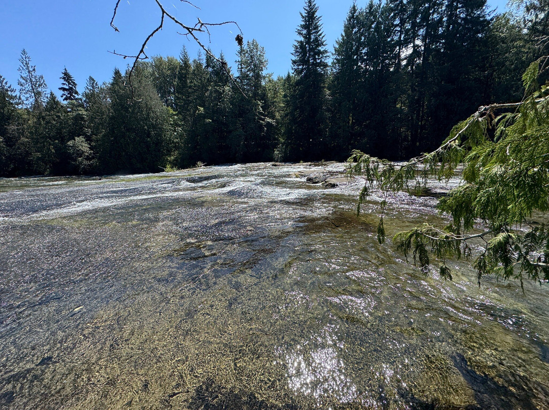 Nymph Falls Nature Park-科特尼必去景点