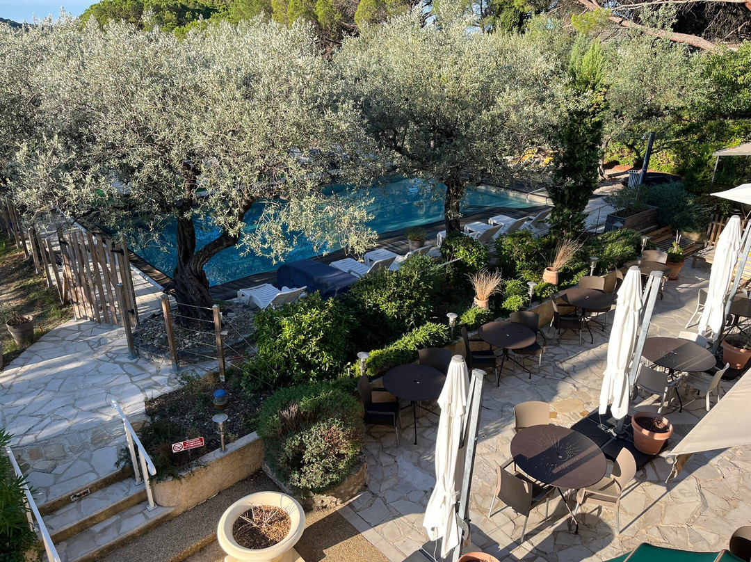 国际之家皮肖利酒店主图