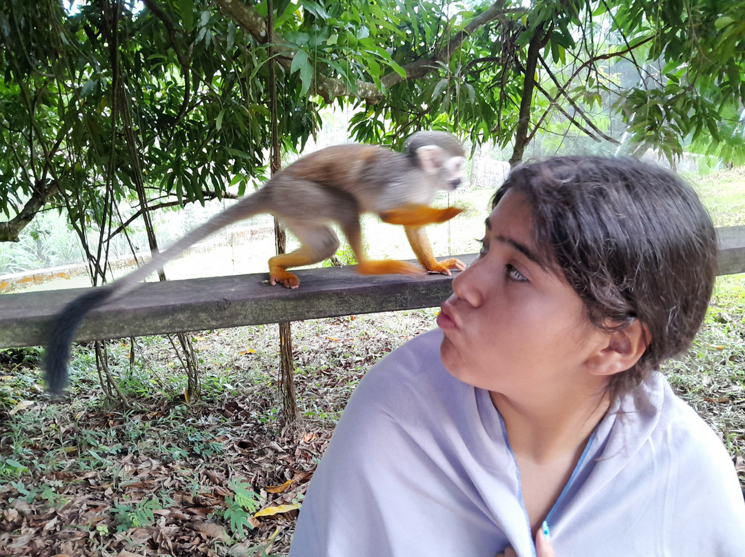 Monkeyland At Samaná-Santa Barbara de Samana必去景点
