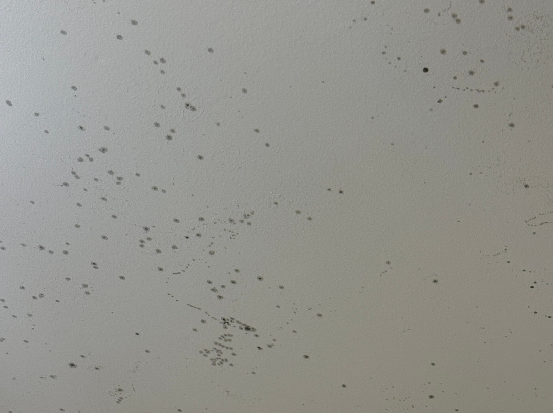 La Quinta Inn & Suites by Wyndham Springfield IL主图