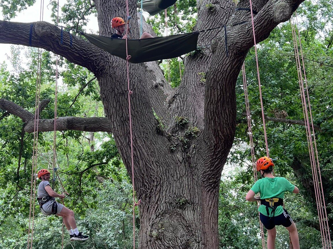 Goodleaf Tree Climbing-赖德必去景点
