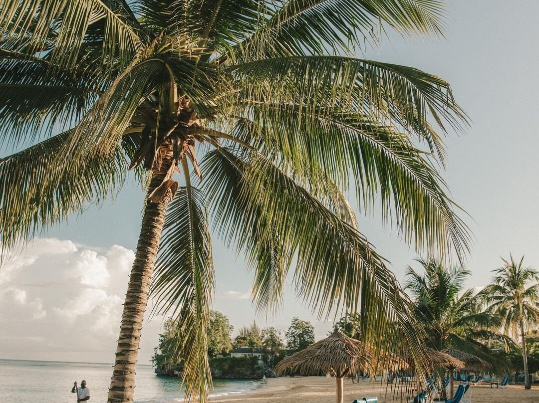 奥乔里奥斯酒店住宿-Jamaica Inn