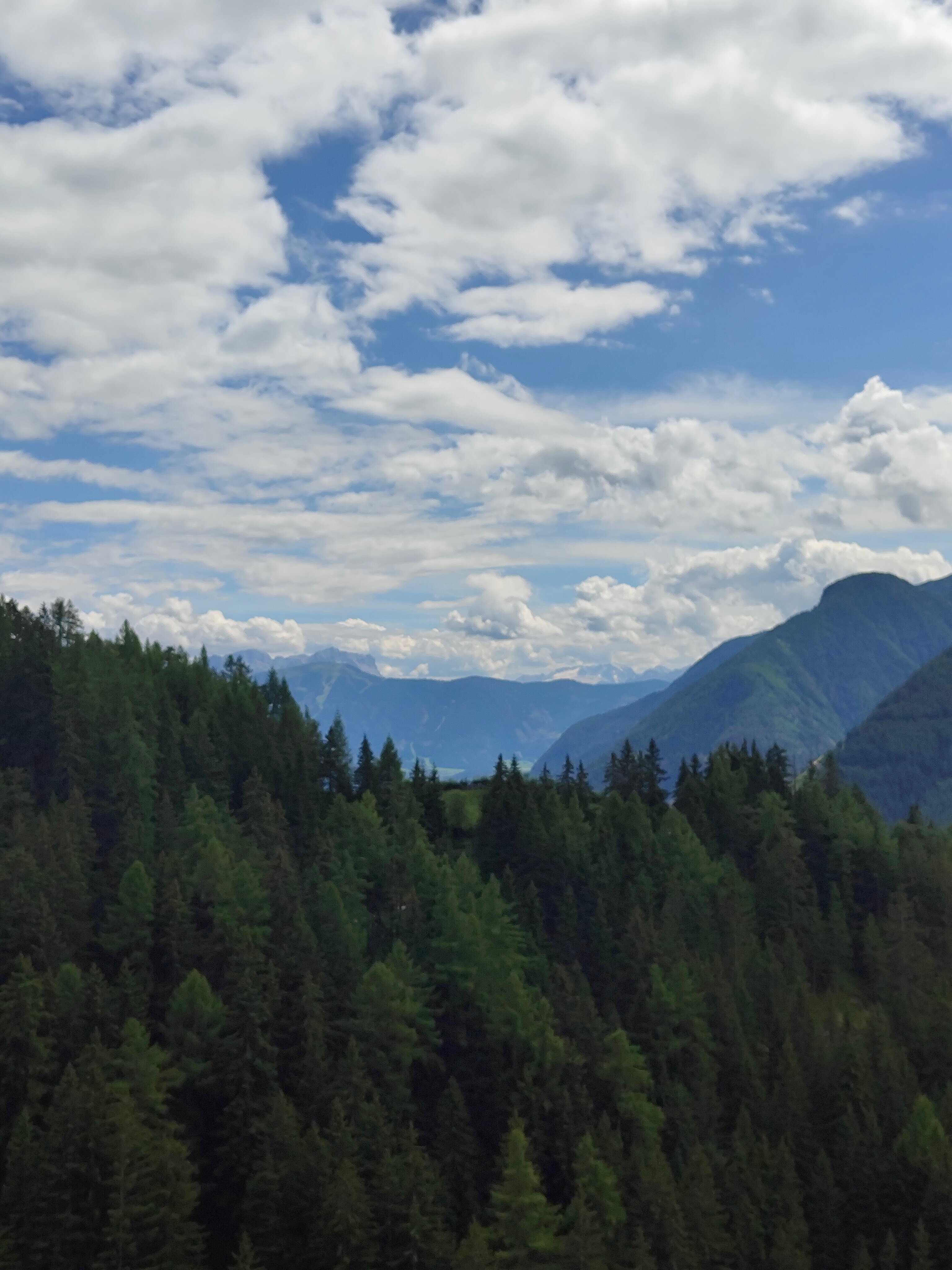 Hotel Drumlerhof-酒店景观