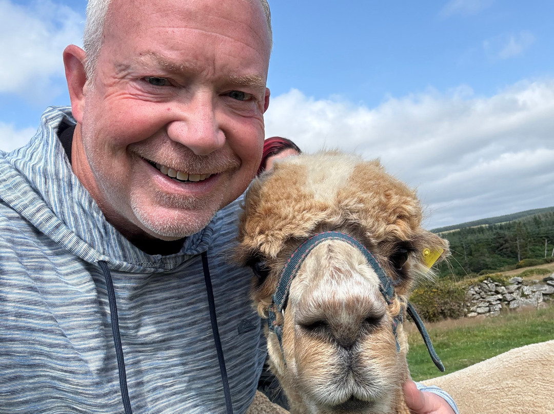 K2Alpacas-Wicklow必去景点