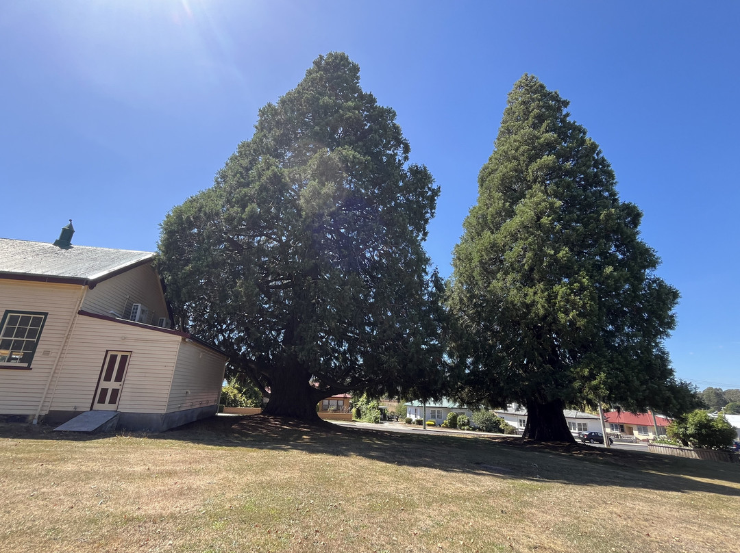 King George V Park-谢菲尔德必去景点