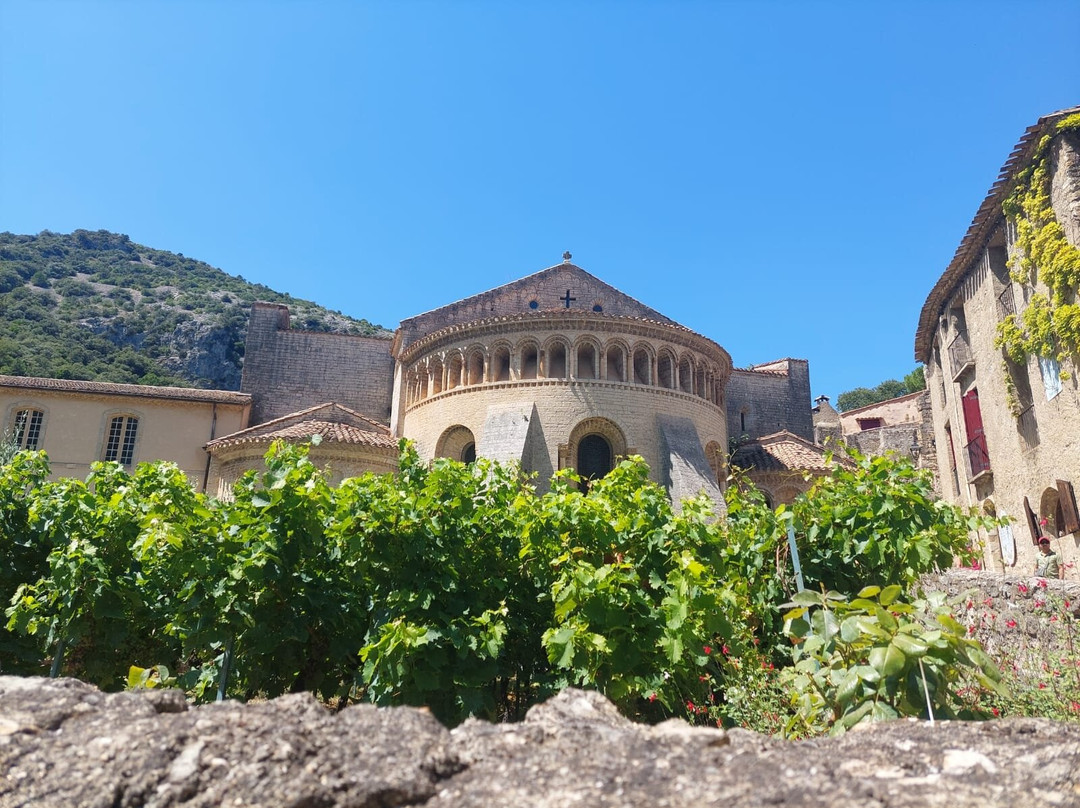 Abbaye de Saint-Guilhem-le-Desert-Saint-Guilhem-le-Desert必去景点